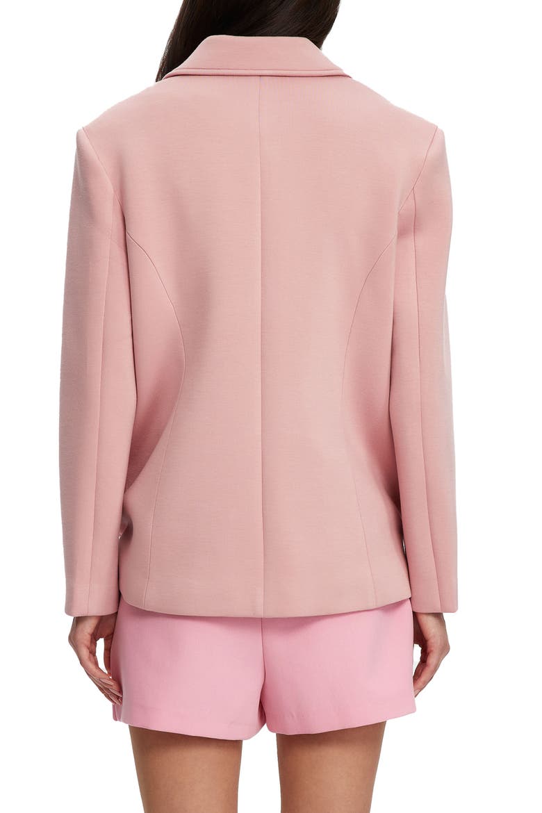 Braunwyn Notch Collar Blazer, Alternate, color, DEAUVILLE MAUVE