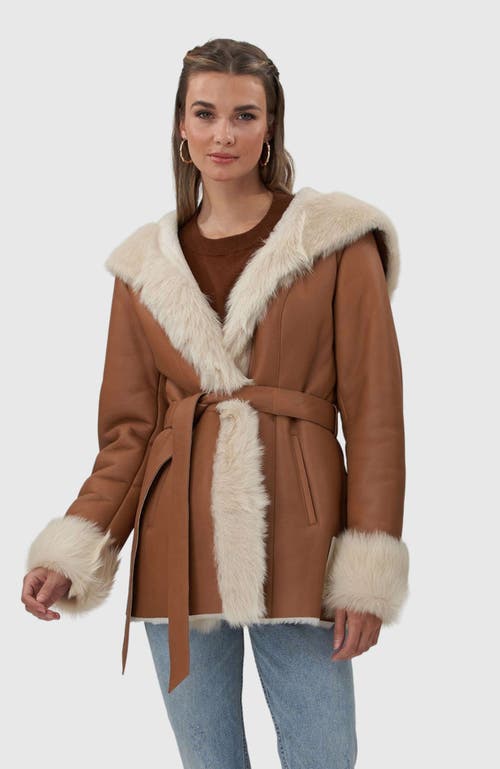Gorski Belted Shearling Lamb Hooded Jacket With Toscana Trim And Cuffs In Multi