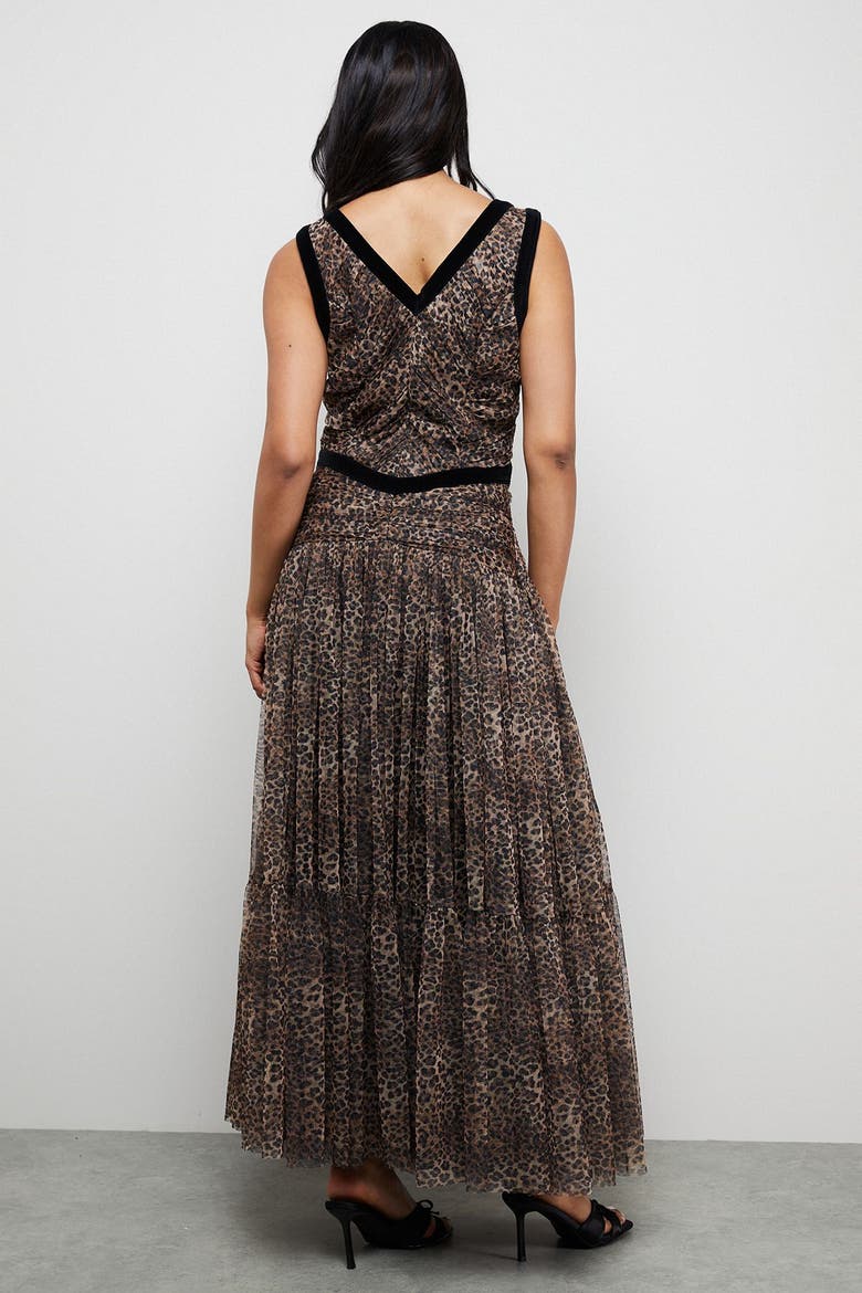 Velvet Trim Leopard Tulle Maxi Dress, Alternate, color, Animal