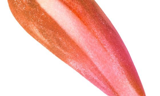 STARSTRUCK CORAL