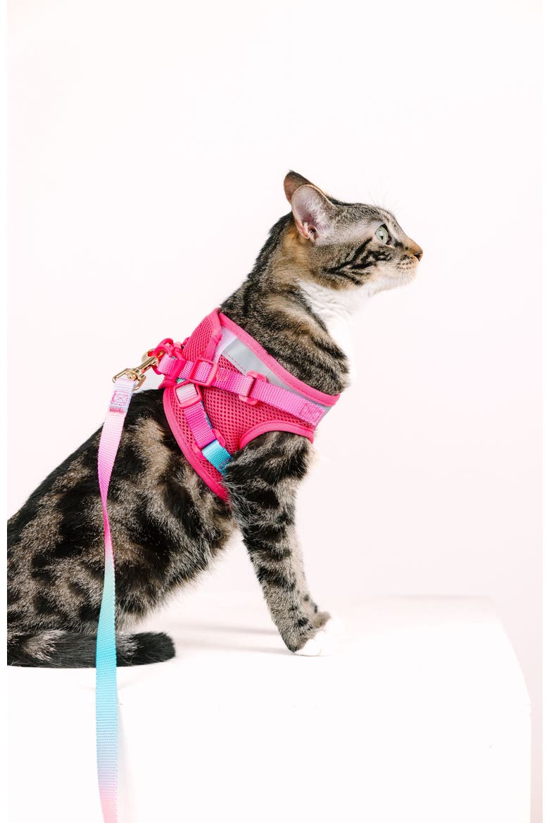 Stasia Cat Harness and Leash Set, Alternate, color, Stasia
