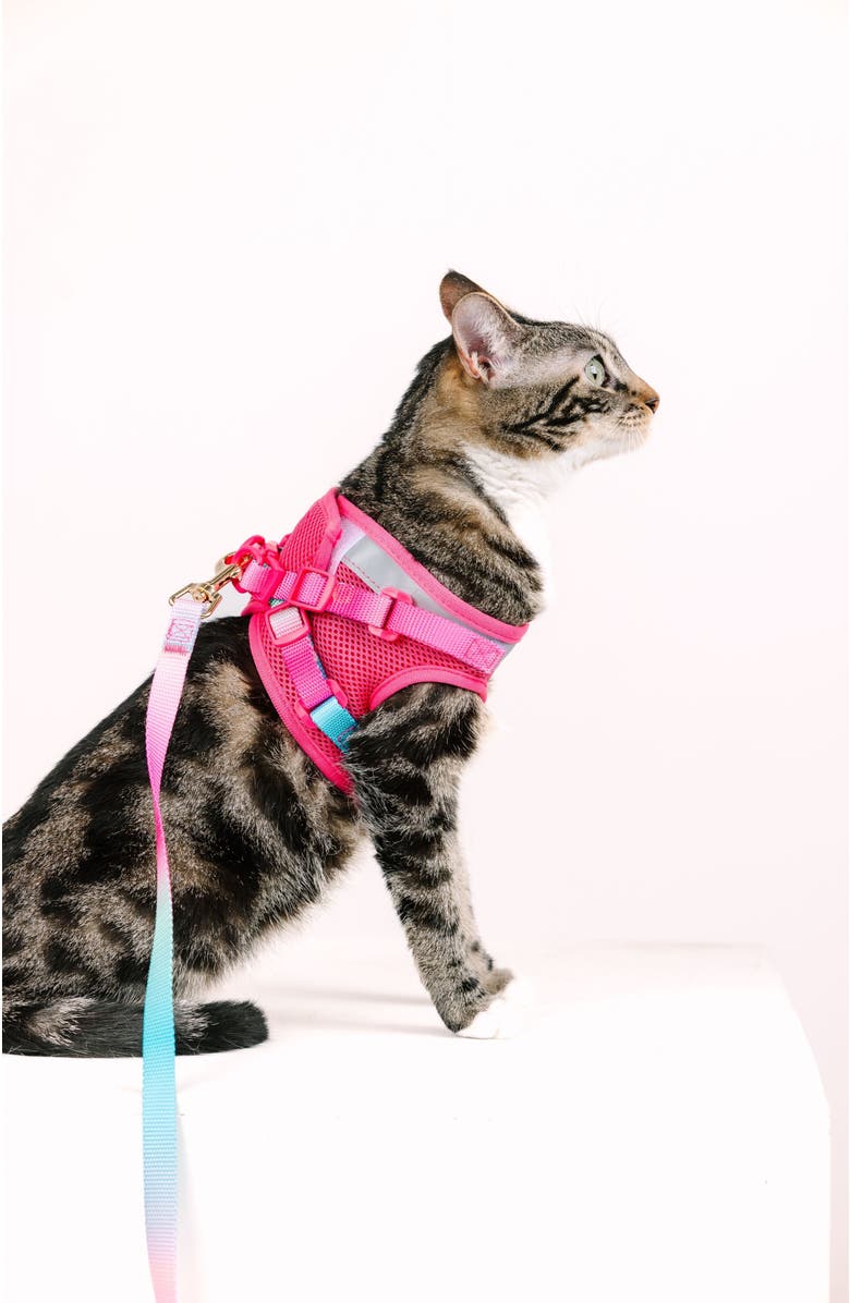Pink Papyrus Stasia Cat Harness and Leash Set, Alternate, color, Stasia