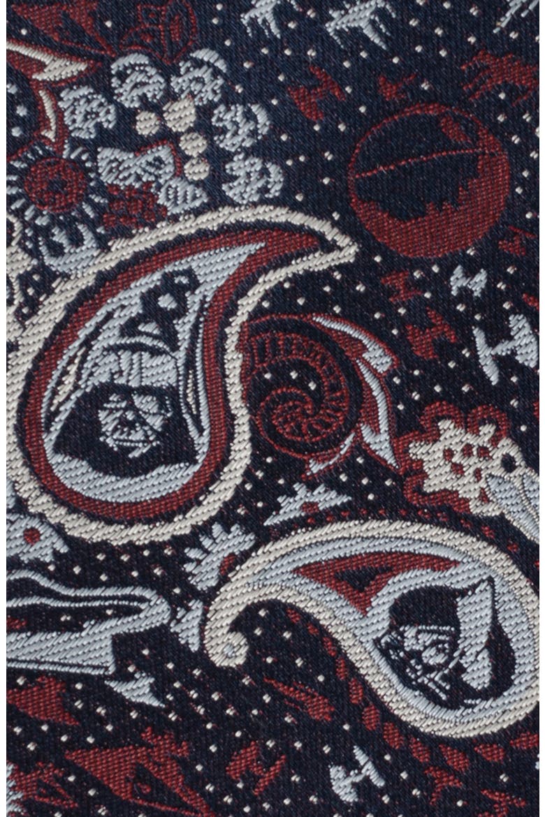 Star Wars™ Darth Vader Navy Paisley Silk Tie, Alternate, color, NAVY