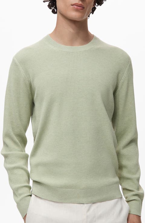 Regular Fit Crewneck Rib Sweater