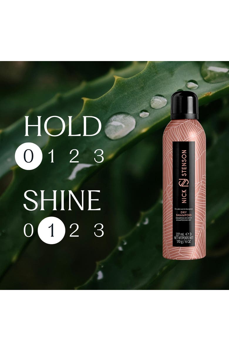 Nick Stenson Beauty Dry Shampoo, Alternate, color, NO COLOR