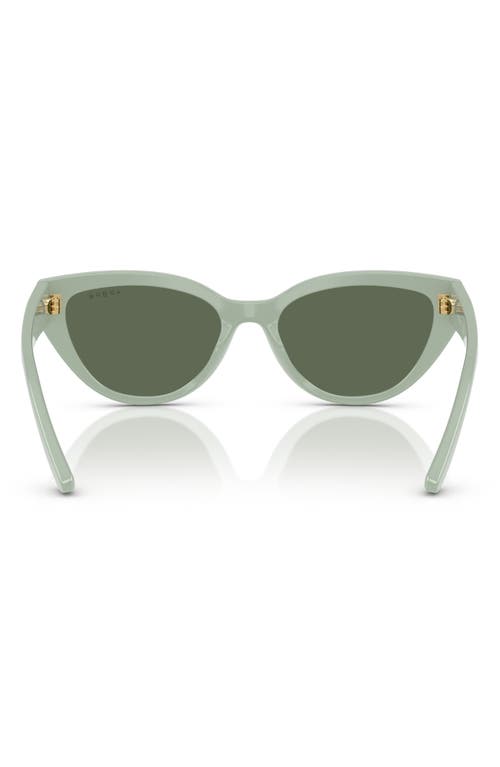 Vogue 50mm Cat Eye Sunglasses In Mint Green