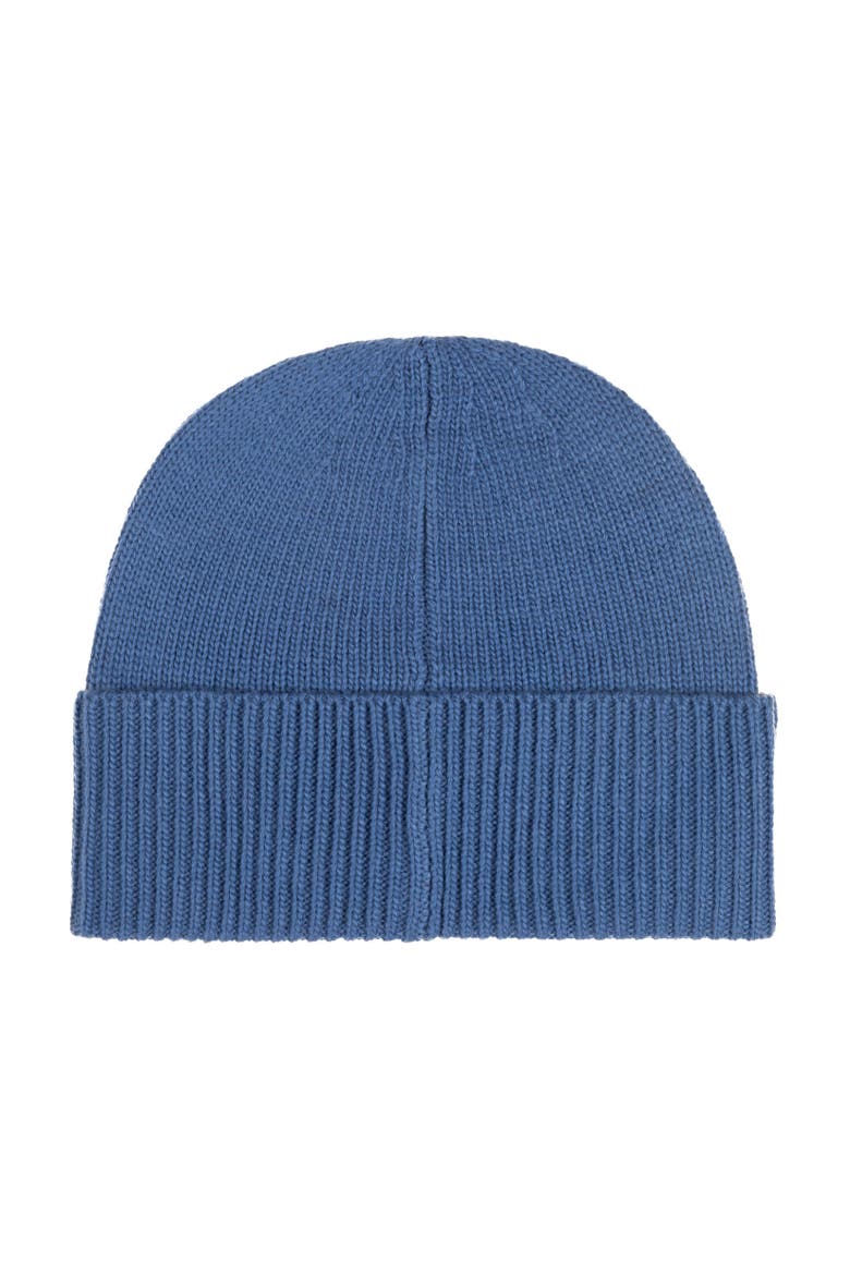 Litchfield Bear Beanie, Alternate, color, Bastille Blue