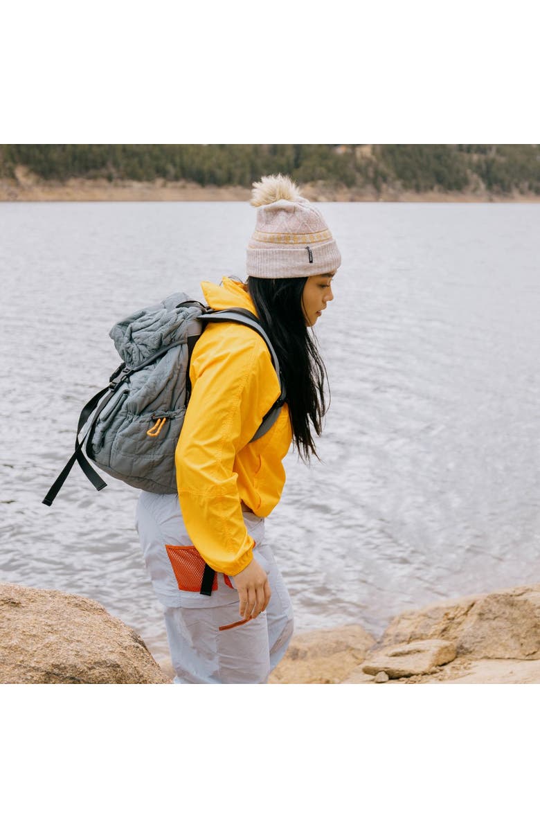 Turtle Fur Ellen Pom Beanie, Alternate, color, 