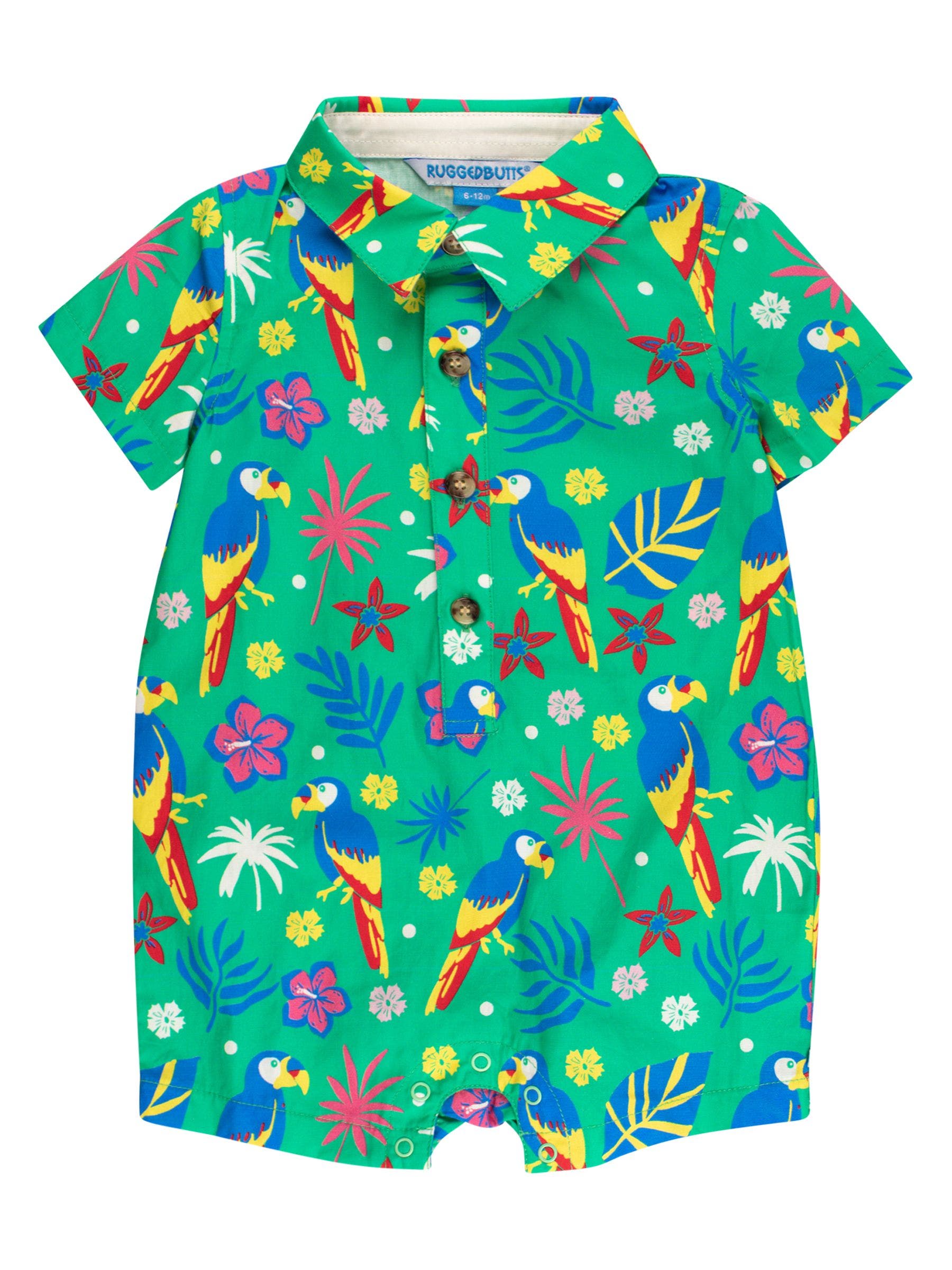 Parrot Palms