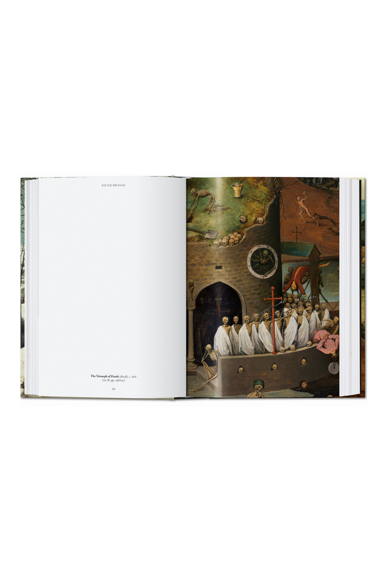 Bruegel The Complete Paintings 45th ed Book, Alternate, color, Teal