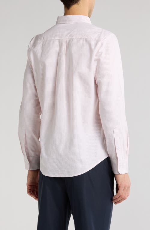 14th & Union Stripe Oxford Button-down Shirt In Pink Sepia Oxford Stripe