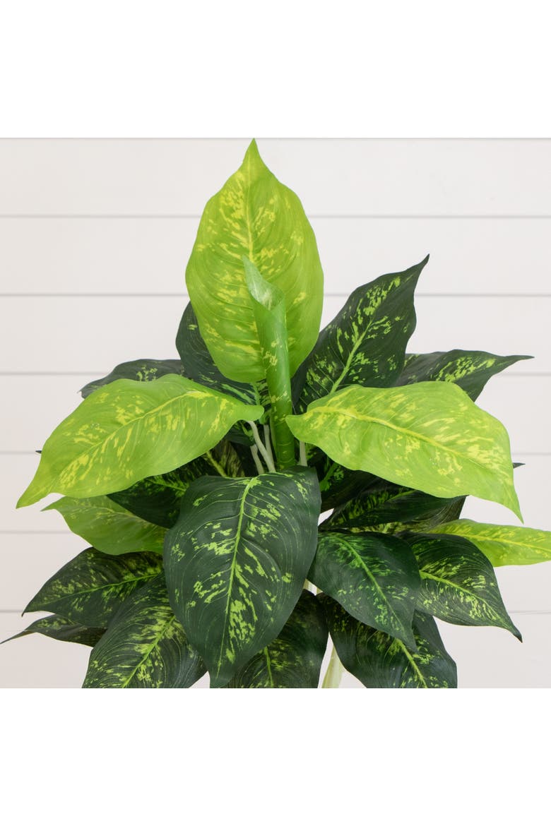 19-in Artificial Dieffenbachia Plant - Set of 6, Alternate, color, Green
