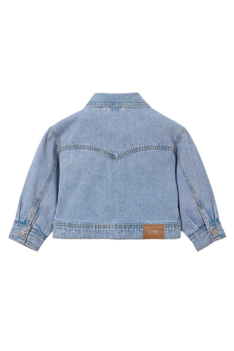 Denim Jacket, Alternate, color, Light Blue