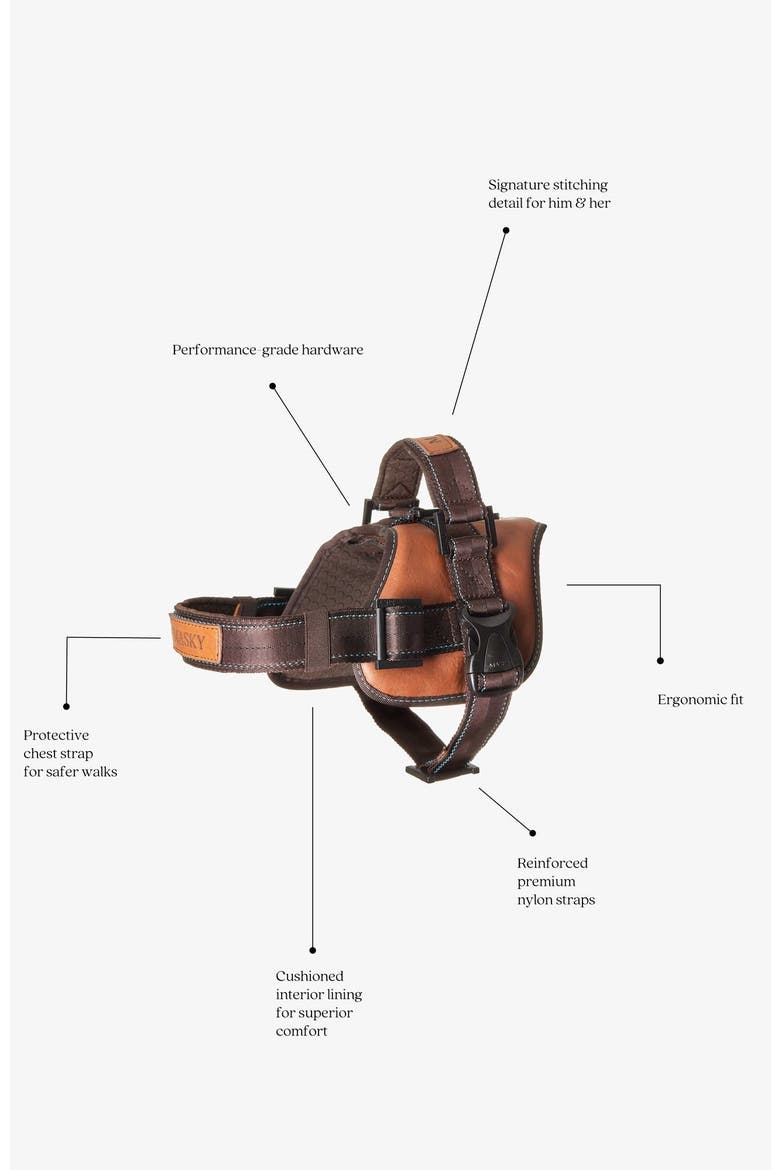 Signature Leather Dog Harness, Alternate, color, Black