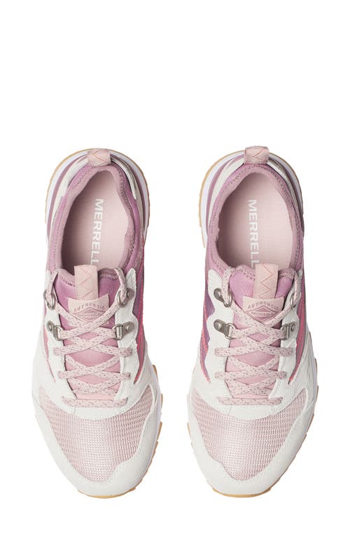Merrell Alpine 83 Recraft Waterproof Sneaker In Pink