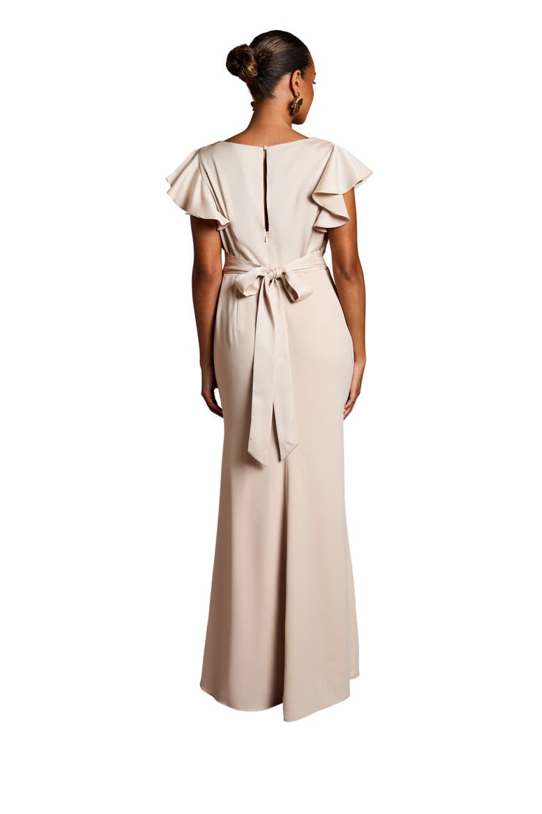Petite V-Neck Short Sleeve Maxi Dress, Alternate, color, Champagne