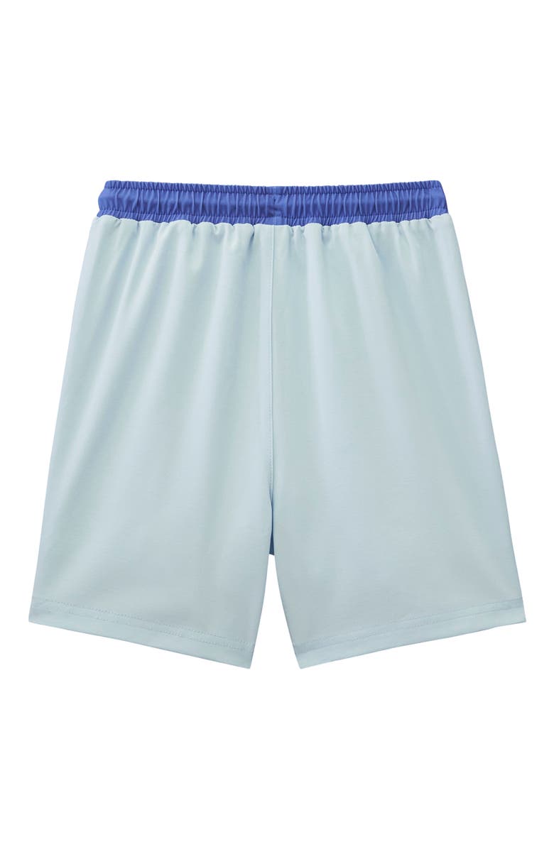 Roarsome Reef Swim Trunk, Alternate, color, Blue