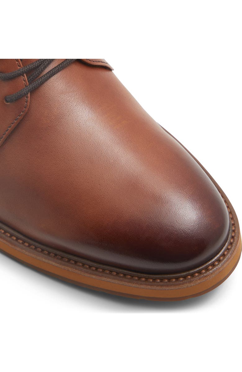 ALDO Ferguson Derby, Alternate, color,