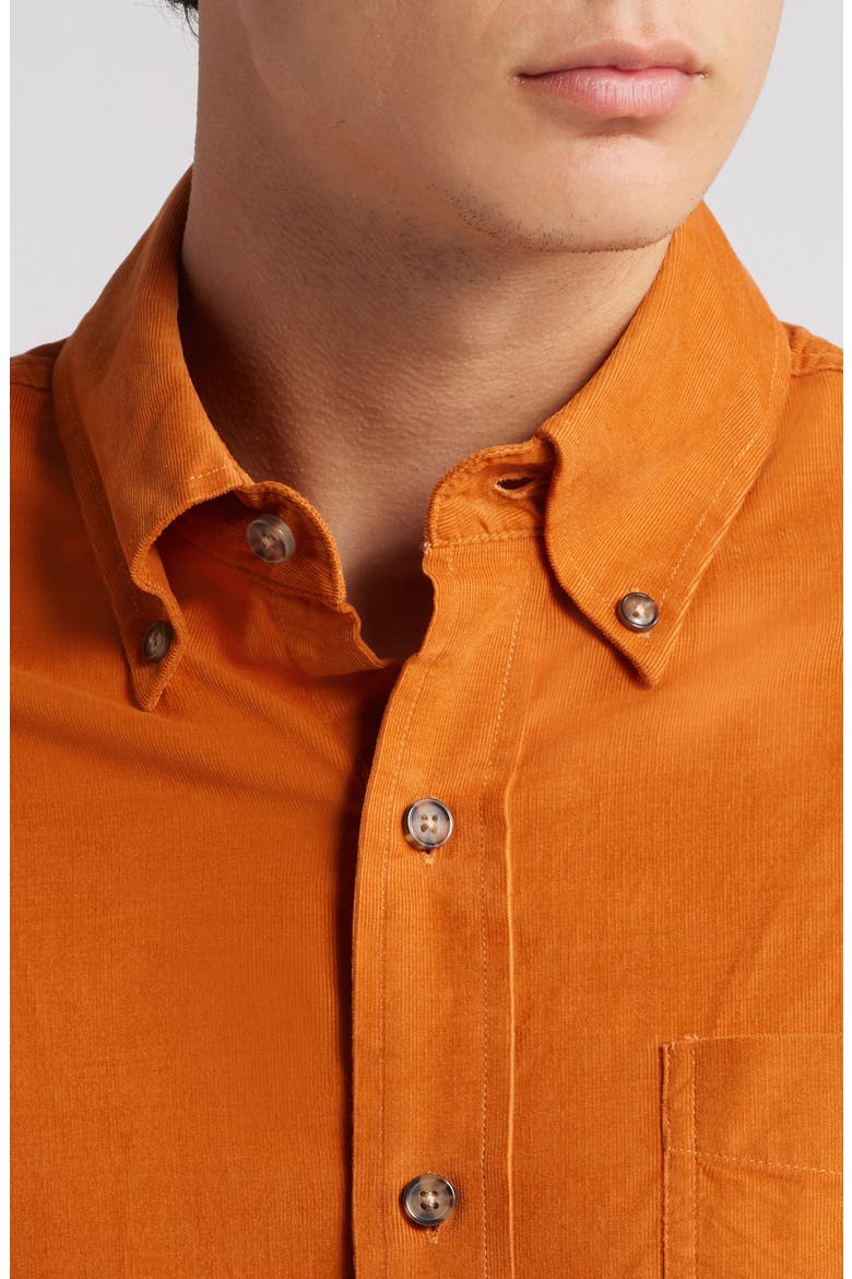 Pinwale Corduroy Button Down Shirt, Alternate, color, RUST