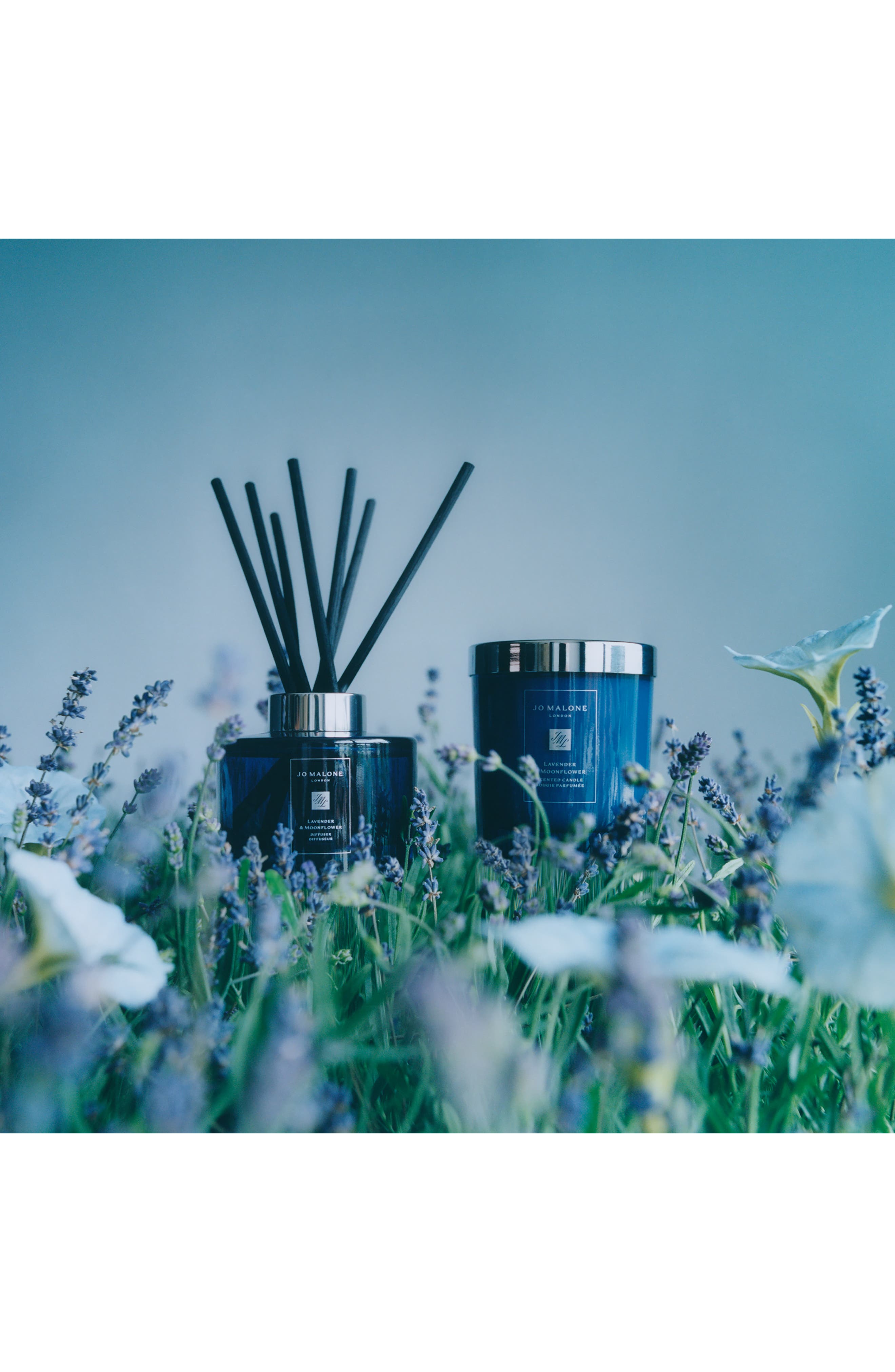 Jo Malone Lavender & Moonflower ディフューザー Lavender & Moonflower Fragrance Diffuser (Limited Edition) | Nordstrom