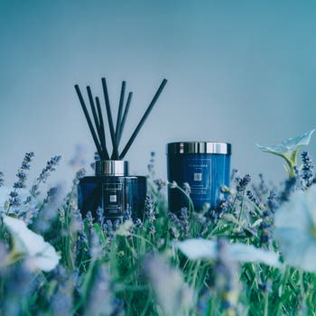 Jo Malone London™ Lavender & Moonflower Fragrance Diffuser