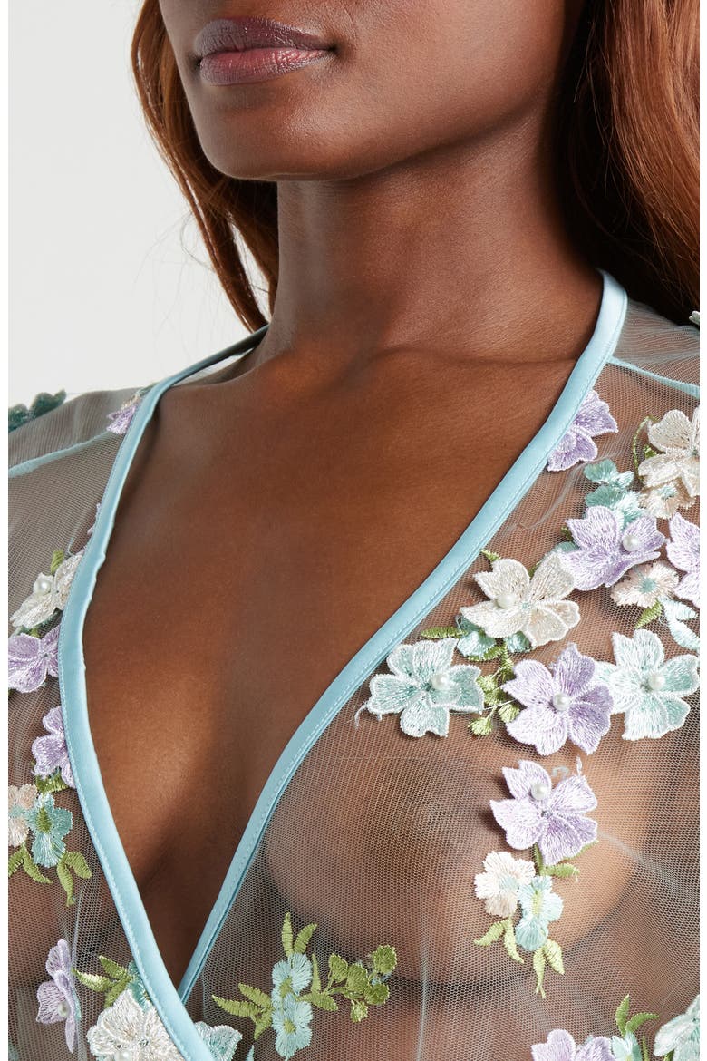 Floral Embroidered Sheer Mesh Robe, Alternate, color, POWDER BLUE MULTI