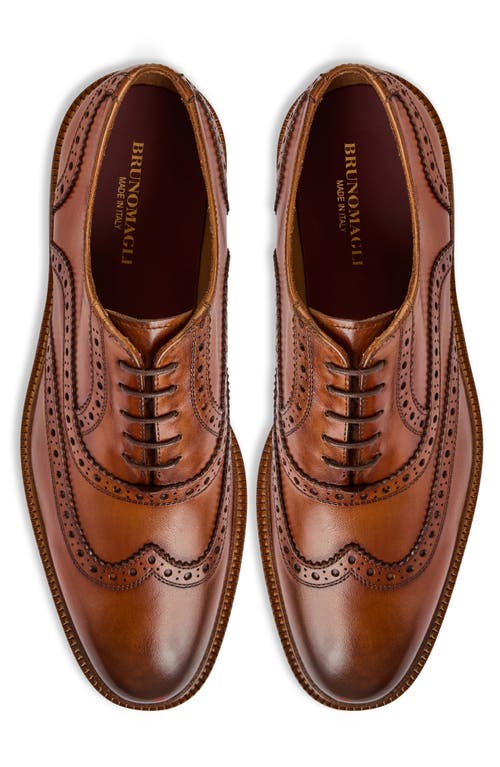 Bruno Magli Alfonso Wingtip Oxford In Brown