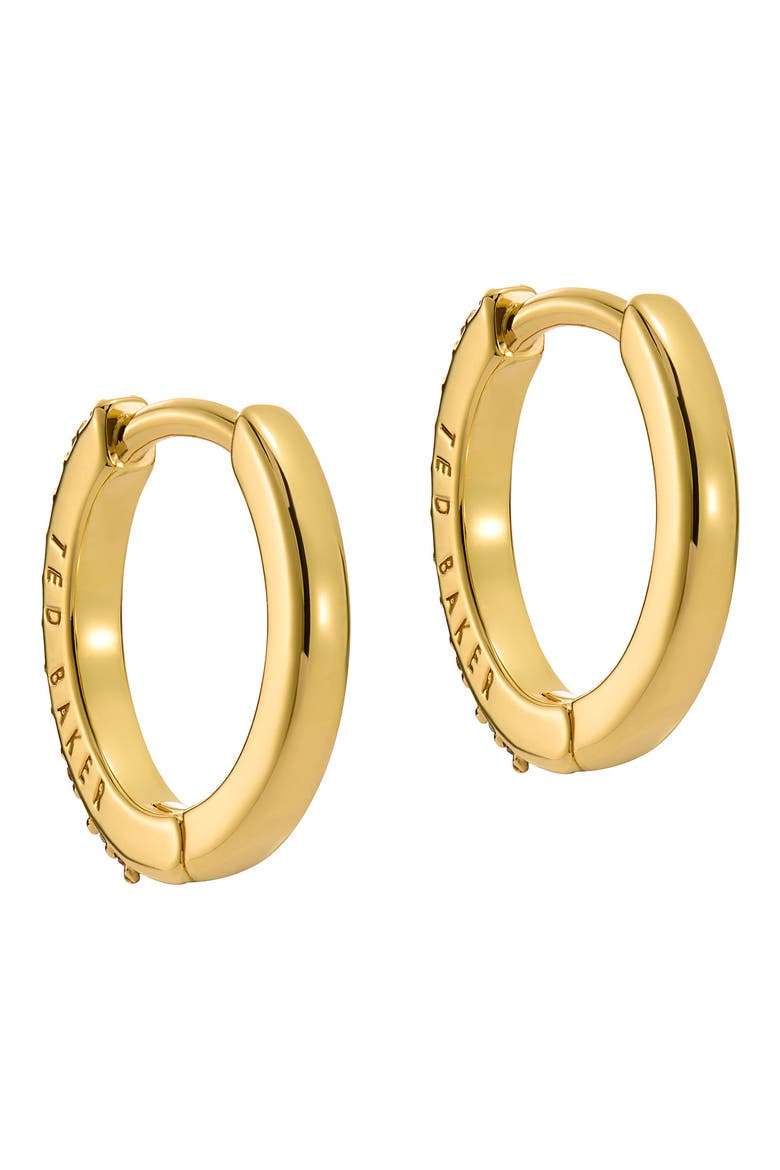 Heplie Pavé Hoop Earrings, Alternate, color, GOLD TONE/ RAINBOW CRYSTAL