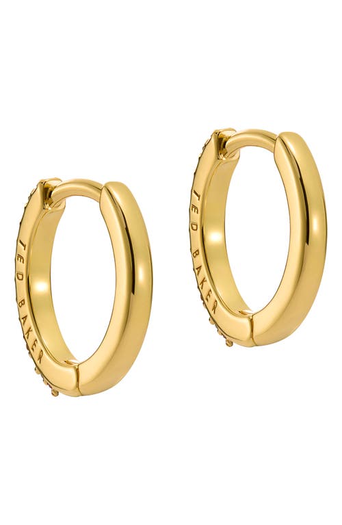 Ted Baker Heplie Pavé Hoop Earrings In Gold Tone/rainbow Crystal