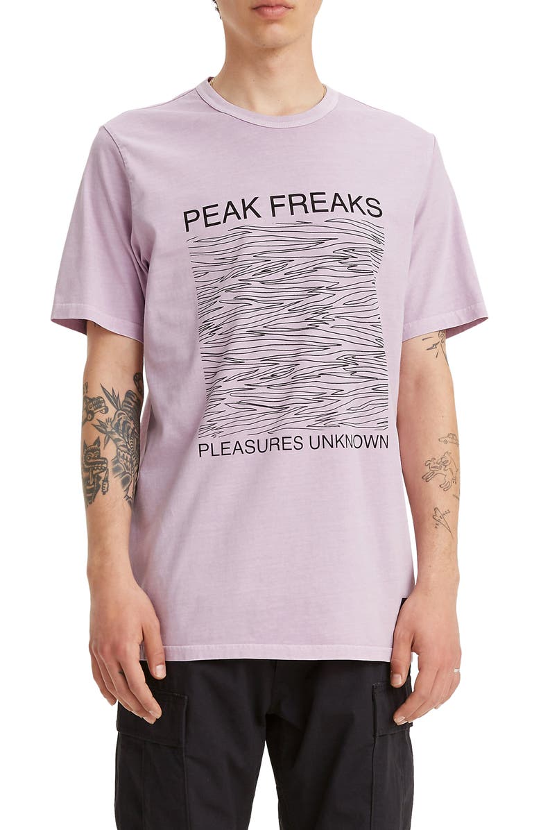Levi's<sup>®</sup> Peak Freaks Skate Graphic Tee, Main, color,