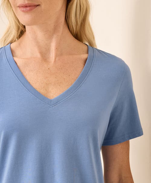 Pact Organic Cotton Softspun V-neck Tee In Blue