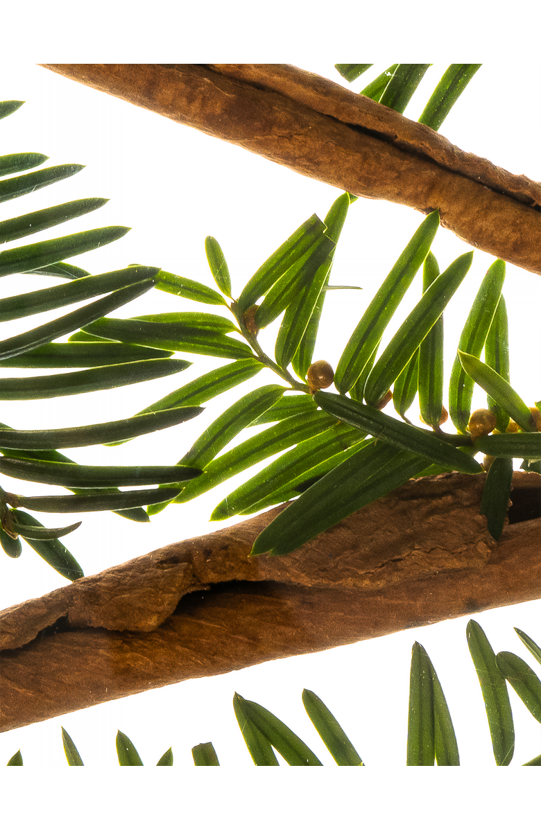 Esas NYC Primal Organic Eau de Parfum - Warm Spice & Ambered Woods, Alternate, color, 0.33 Oz