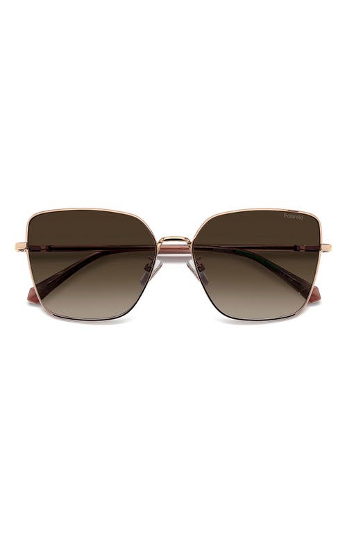 Polaroid 59mm Polarized Butterfly Sunglasses In Gold