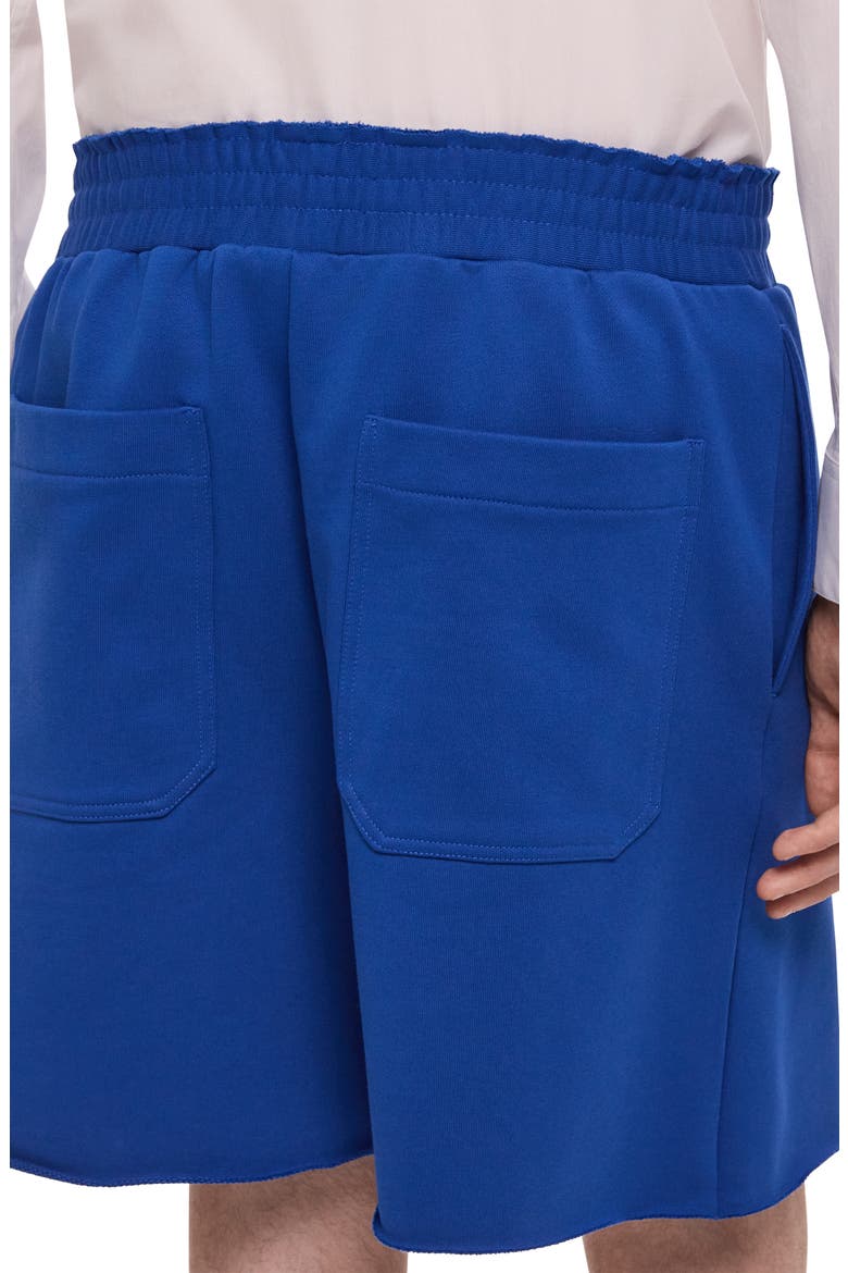 Cotton French Terry Shorts, Alternate, color, ROYAL BLUE