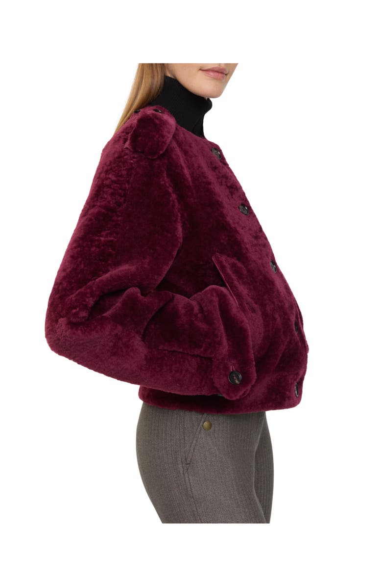 Burberry Detachable Scarf Shearling Jacket, Alternate, color, Ruby Red