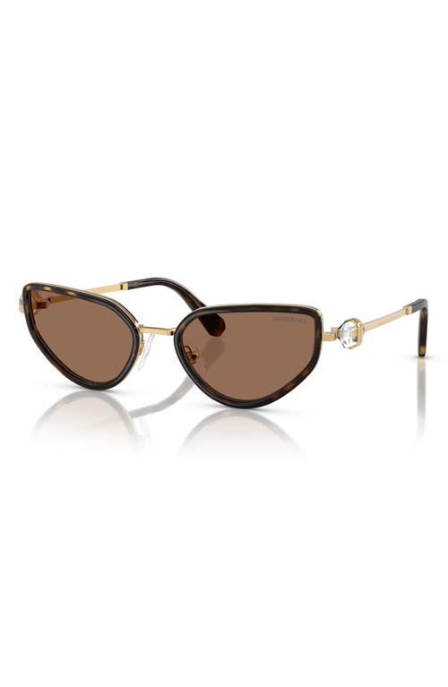Swarovski 56mm Irregular Sunglasses In Black/gold Havana