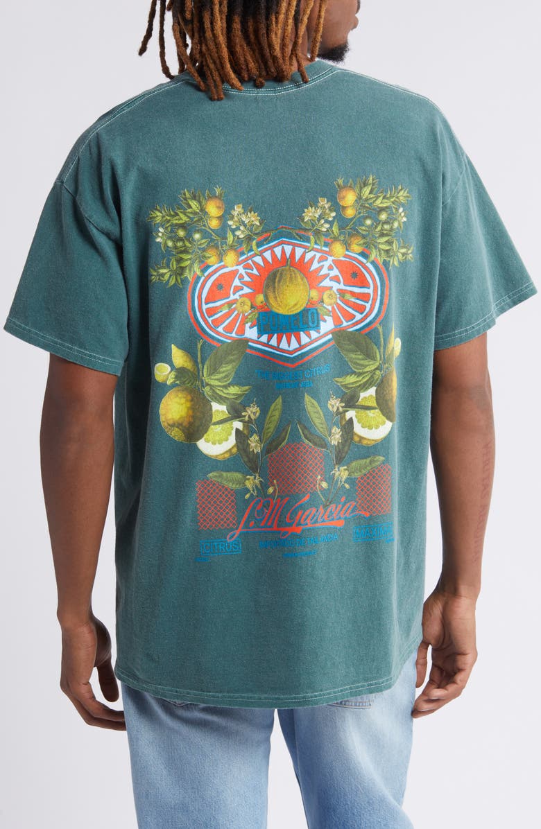 BDG Urban Outfitters Pomelo Graphic T-Shirt, Alternate, color, 