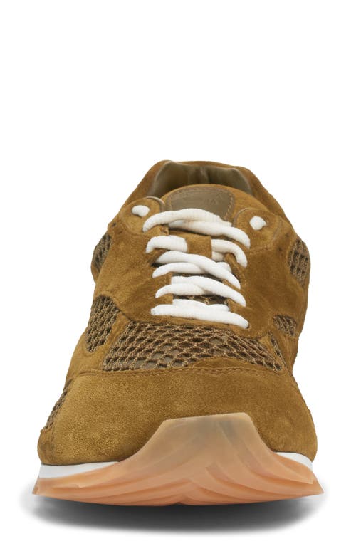 Bottega Veneta Orbit Low Top Sneaker In Multi