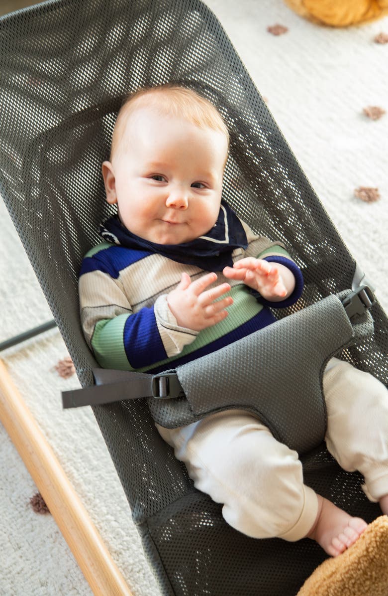 CHILDHOME Evolux Baby Bouncer, Alternate, color, Anthracite