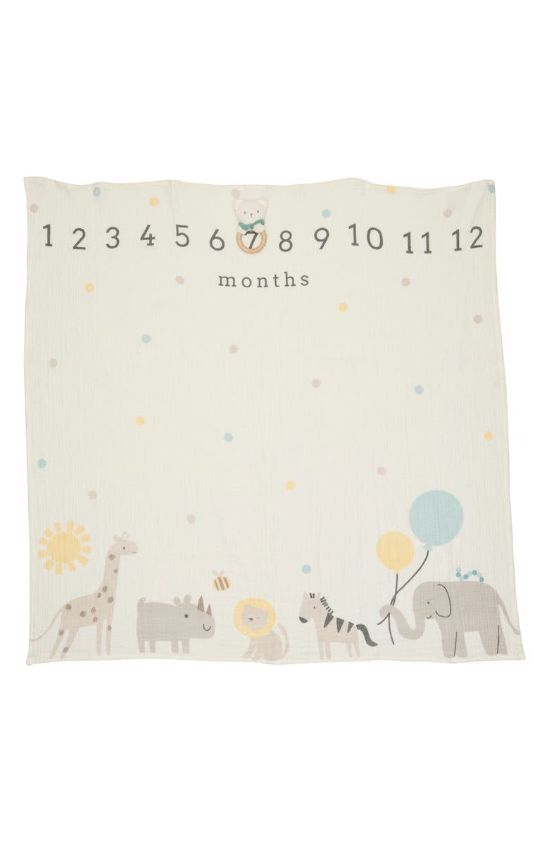 DREAMGRO Growing with Love Milestone Set, Alternate, color, Taupe