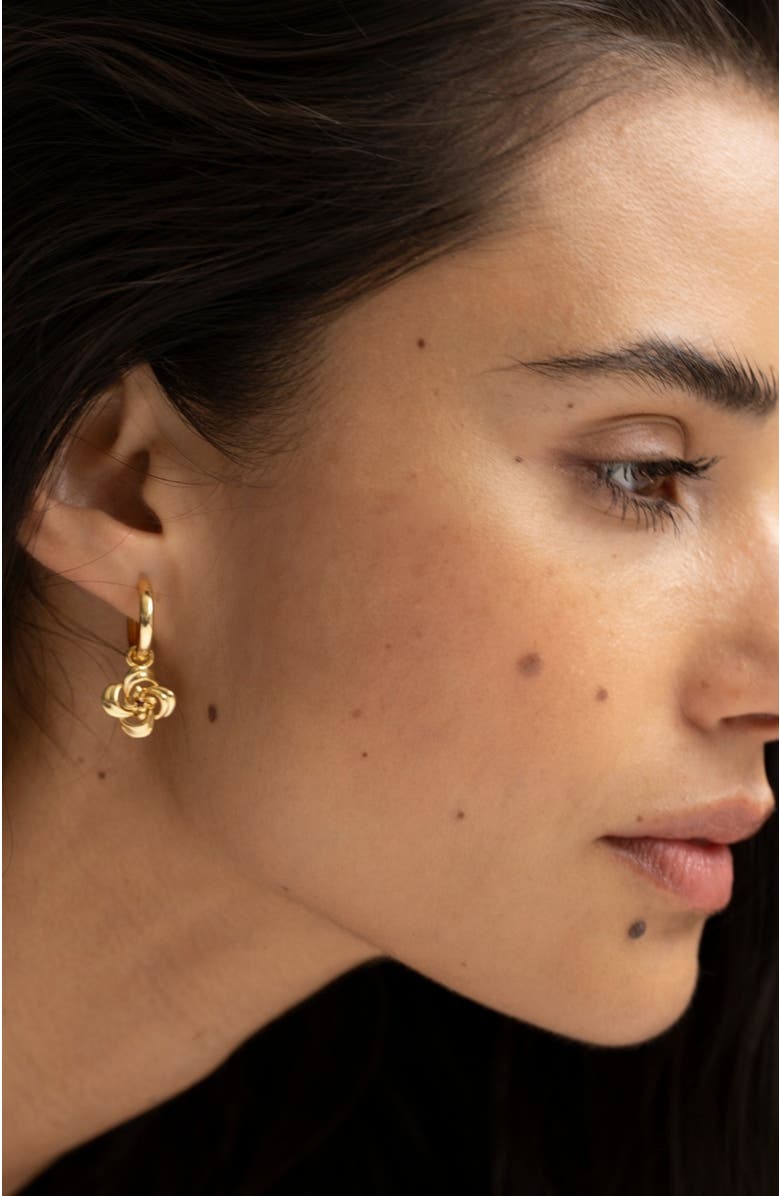 SEREIA OFFICIAL Camilla Earrings, Alternate, color, Yellow Gold