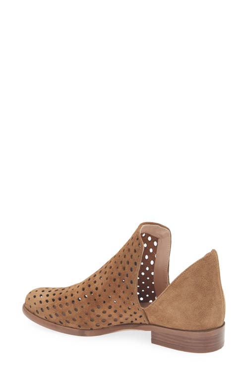 Cordani Burk Laser Bootie In Brown