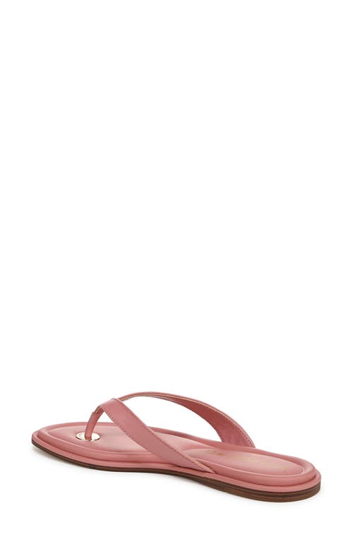 Sam Edelman Remi Leather Flip Flop Pink Lily Leather In Pink Lily