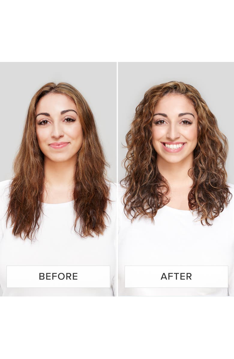 Living proof<sup>®</sup> Perfect hair Day<sup>™</sup> In-Shower Styler, Alternate, color, 