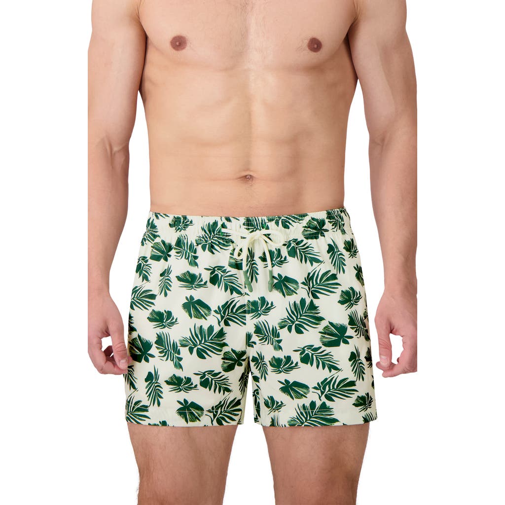 Sunset X Vine Leaf Print Swim Trunks
