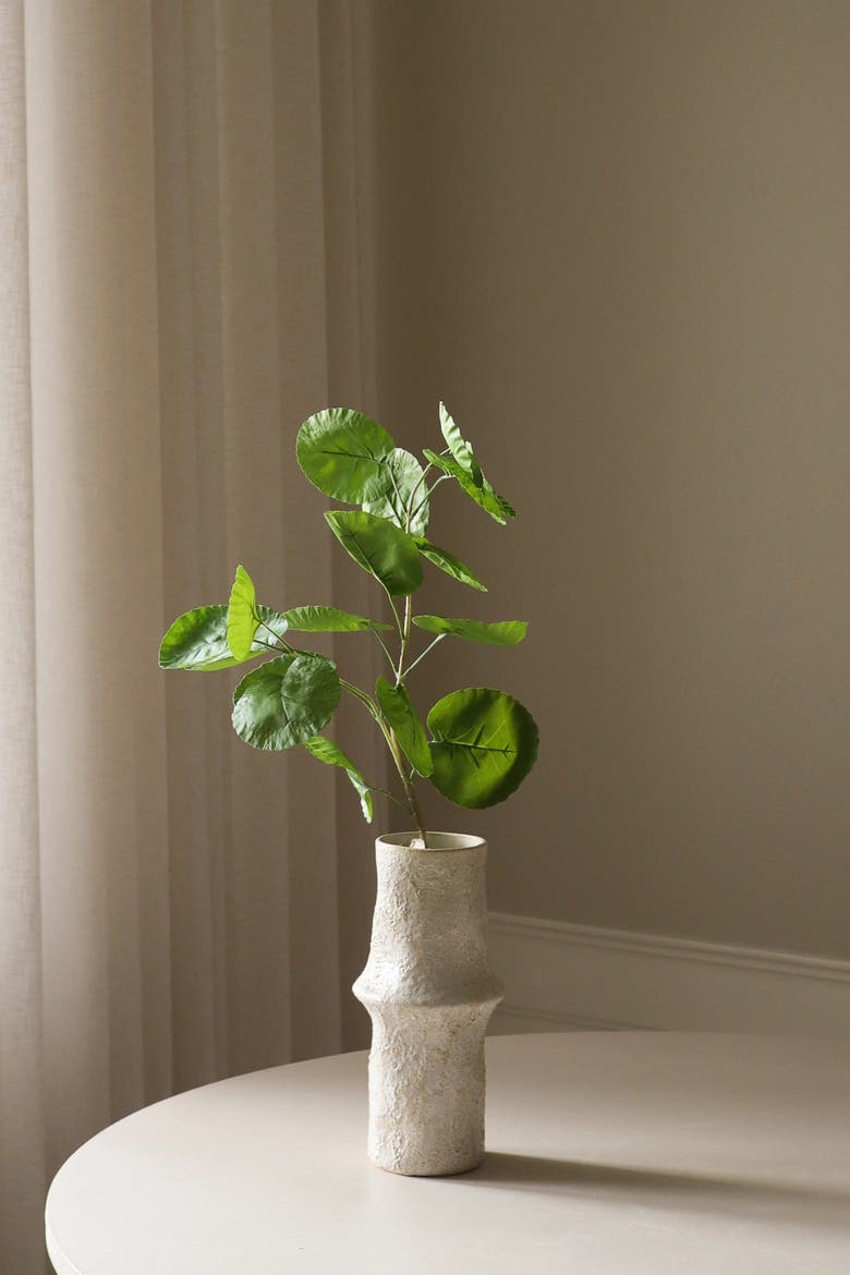 Green Plum Aralia Leaves, Alternate, color, Green