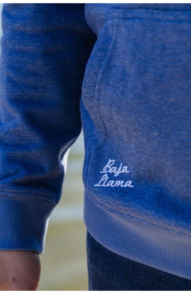 Baja Llama CATFISHED ORGANIC COTTON HOODIE, Alternate, color, Navy