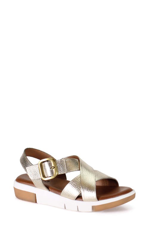 Diba True Advo Cate Wedge Sandal in Gold  product