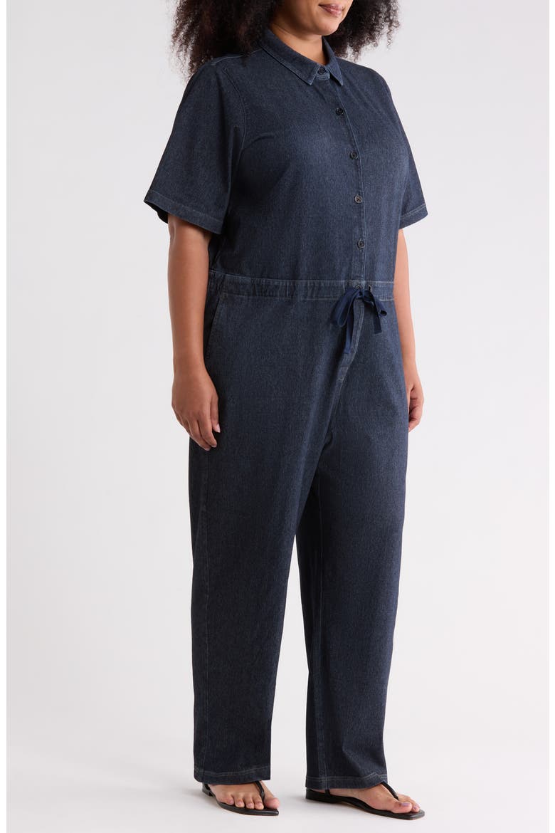 Classic Collar Ankle Jumpsuit, Alternate, color, DARK WASH