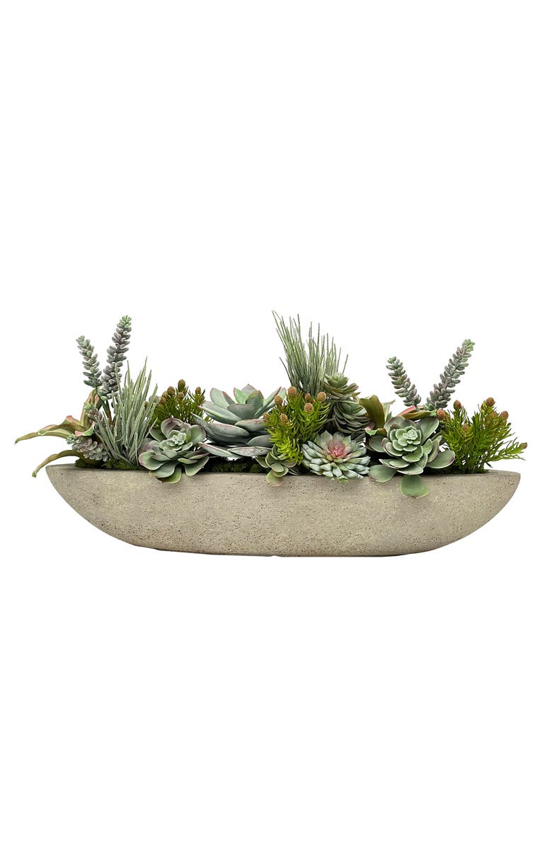 Winward Home Succulent In Boat, Main, color, Greyish Green